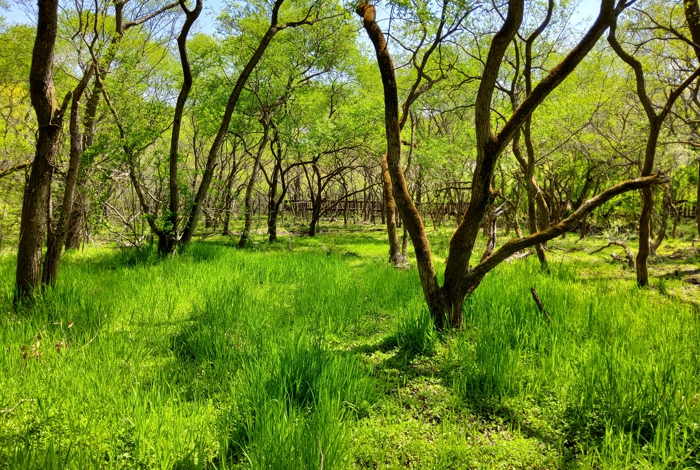 고창 고인돌·운곡습지, 환경부 4월 ‘이달의 생태관광지’로 선정  기사 이미지